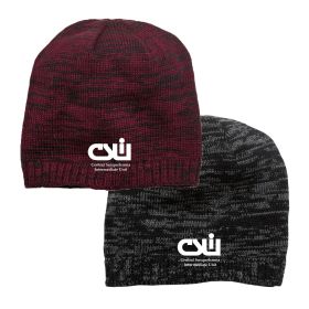 District&reg; Spaced-Dyed Beanie DT620