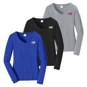 Ladies' Long Sleeve Fan Favorite V-Neck Tee. LPC450VLS