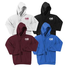 Pullover Hooded Sweatshirt. PC90H